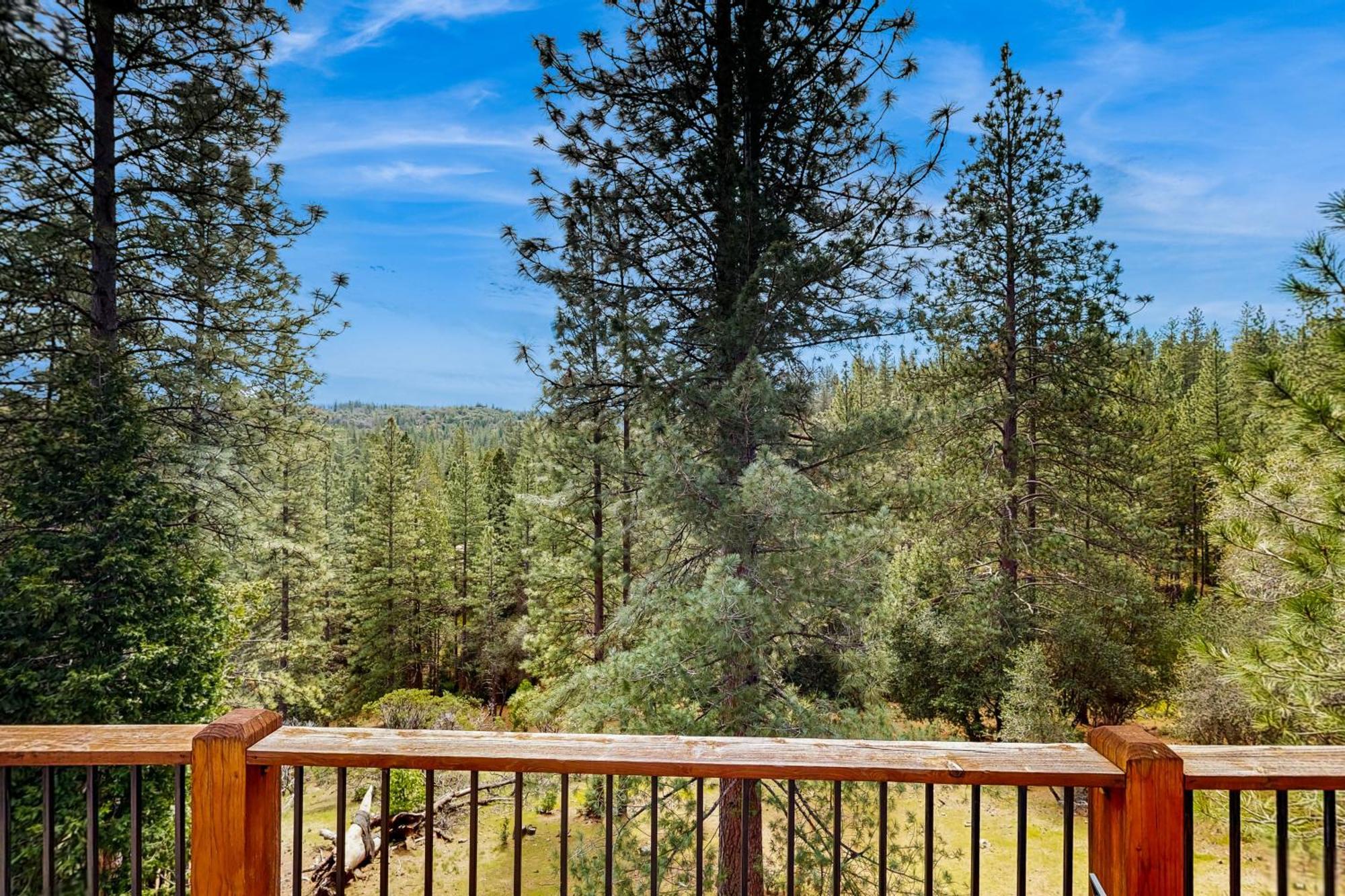 Point View Retreat Βίλα Groveland Εξωτερικό φωτογραφία
