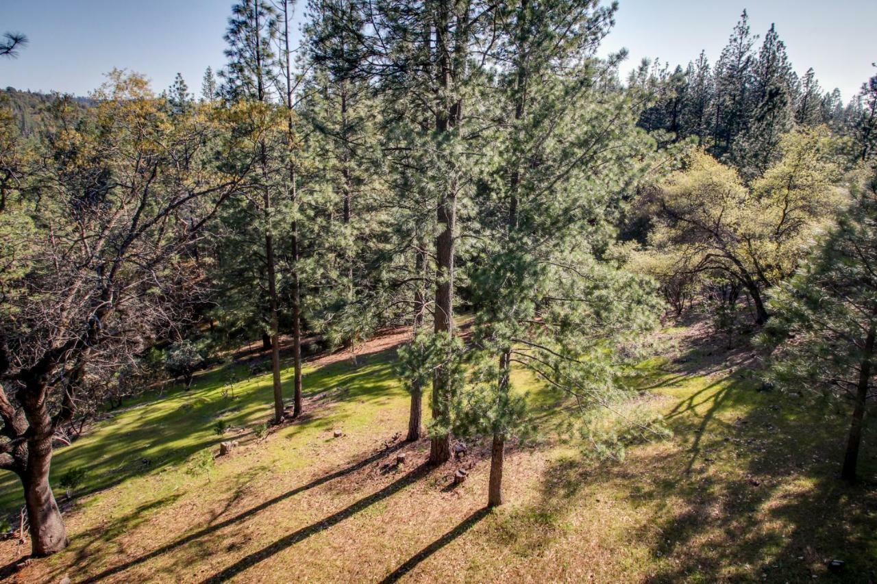 Point View Retreat Βίλα Groveland Εξωτερικό φωτογραφία